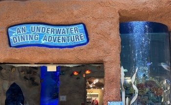 Aquarium Restaurant