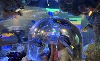 SEA LIFE Grapevine Aquarium