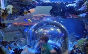 SEA LIFE Grapevine Aquarium