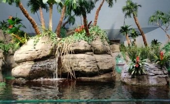 Aquarium At Moody Gardens