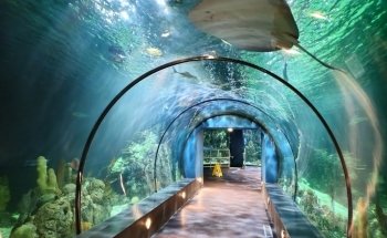 Acuario en Moody Gardens