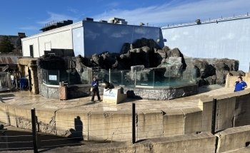 Long Island Aquarium