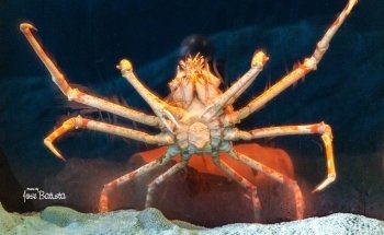 Long Island Aquarium