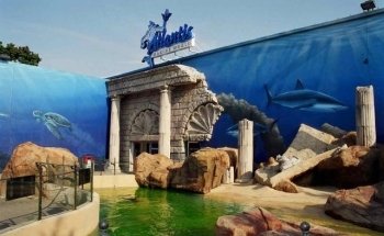 Long Island Aquarium