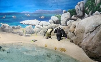 Jenkinson's Aquarium