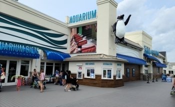 Jenkinson's Aquarium