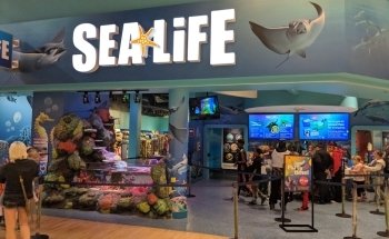 SEA LIFE Michigan Aquarium