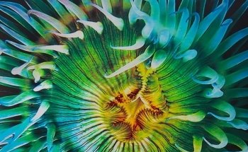 Cabrillo Marine Aquarium