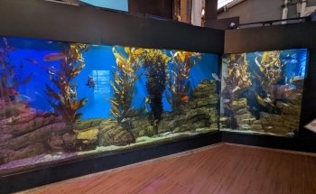 Cabrillo Marine Aquarium