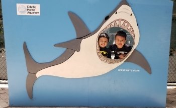 Cabrillo Marine Aquarium
