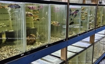 The Fish Hut of New Jersey