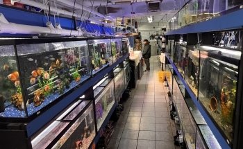 The Fish Hut of New Jersey