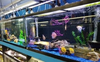 The Fish Hut of New Jersey