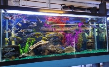 The Fish Hut of New Jersey