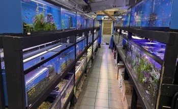 The Fish Hut of New Jersey