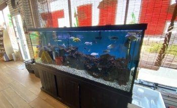 The Fish Hut of New Jersey