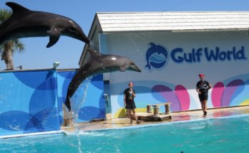 Gulf World Marine Park