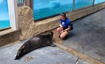 Gulf World Marine Park