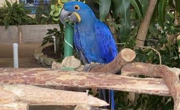 Gulf World Marine Park