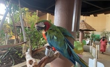 Gulf World Marine Park