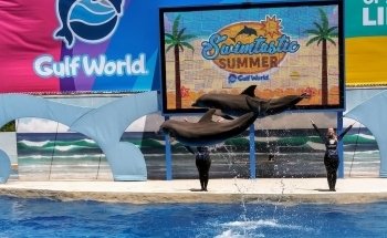 Gulf World Marine Park