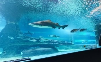 Aquarium Costa de Almería