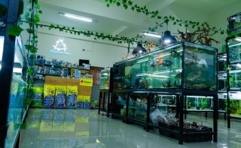 Aquabreed Aquarium