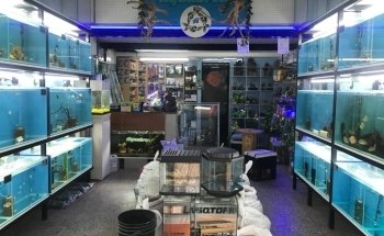 Acuario Aquabreed