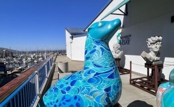 Aquarium of the Bay