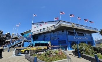 Aquarium of the Bay