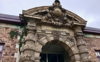 Belle Isle Aquarium