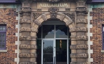 Belle Isle Aquarium