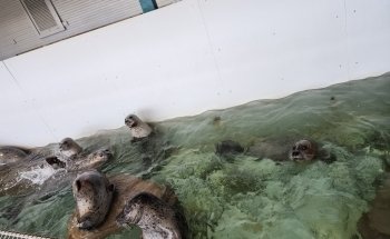 Seaside Aquarium