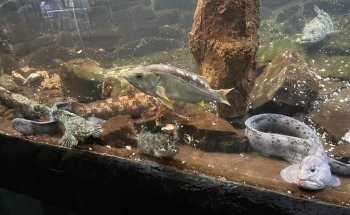 Seaside Aquarium