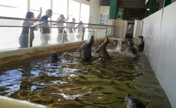 Seaside Aquarium