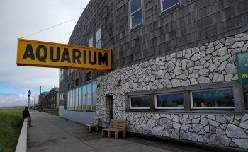 Seaside Aquarium