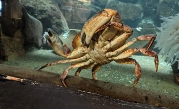 Seaside Aquarium