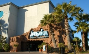 Restaurante Acuario
