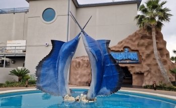 Aquarium Restaurant