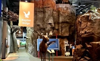 Great Lakes Aquarium