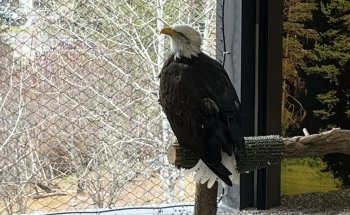 Great Lakes Aquarium