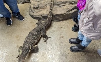 LegaSea Aquarium & The Reptarium