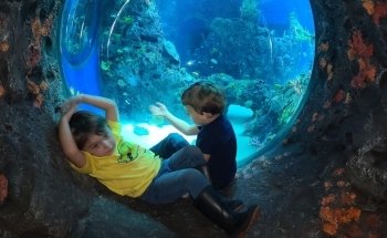 Mississippi Aquarium