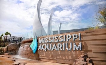 Mississippi Aquarium