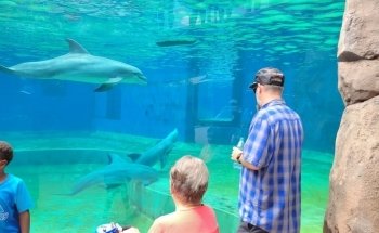 Mississippi Aquarium