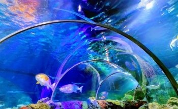 SEA LIFE Charlotte-Concord
