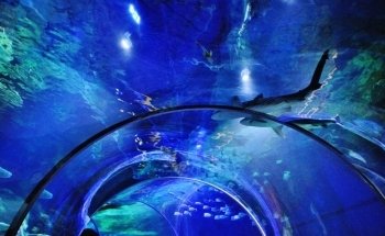 SEA LIFE Charlotte-Concord