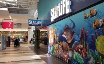 SEA LIFE Charlotte-Concord