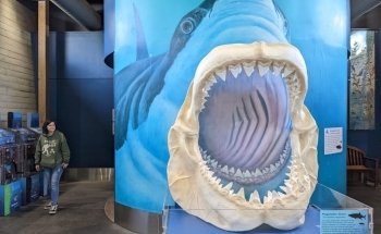 Oregon Coast Aquarium