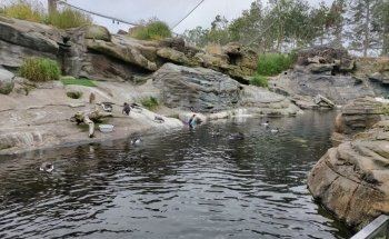 Oregon Coast Aquarium
